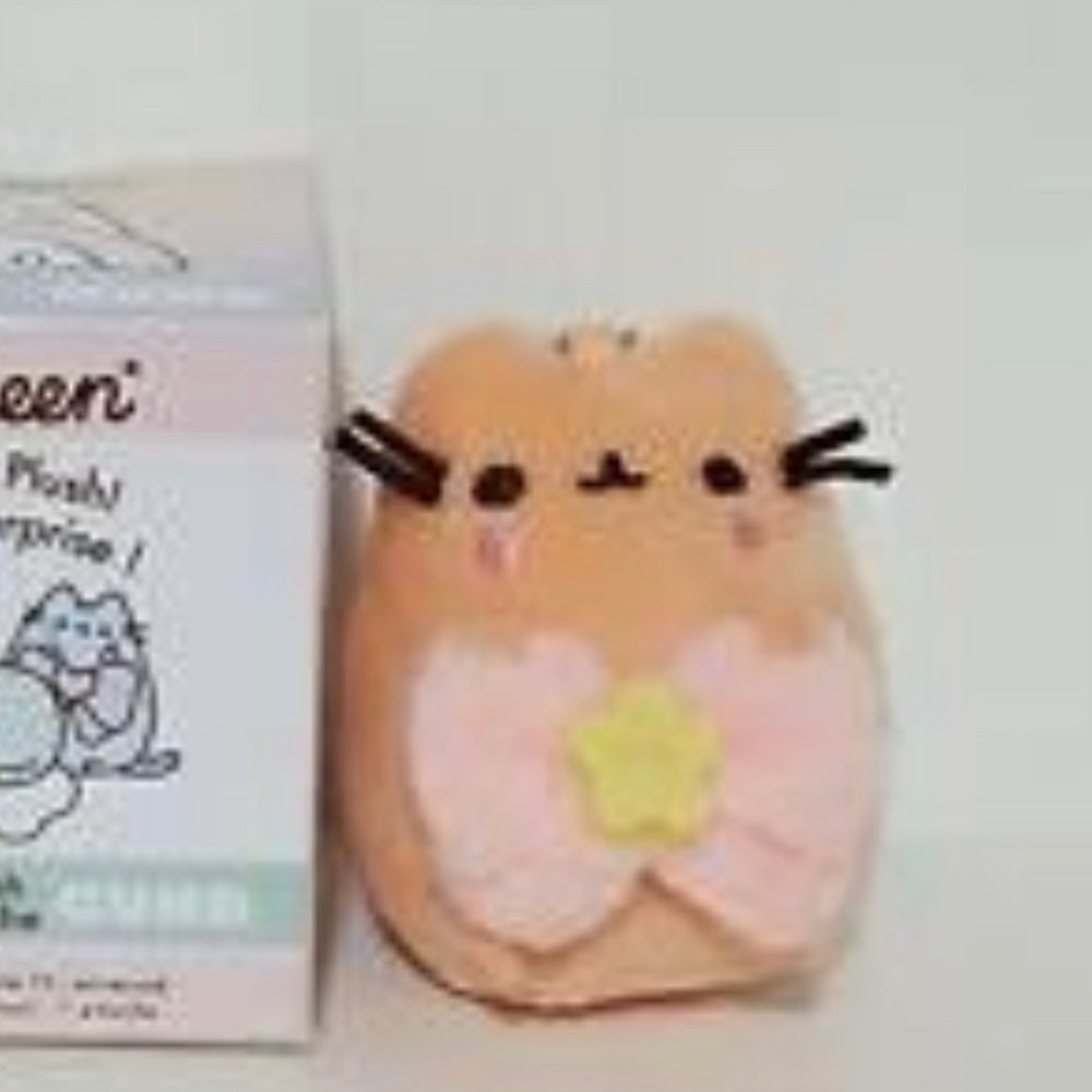 Pusheen Blind Box Series 13